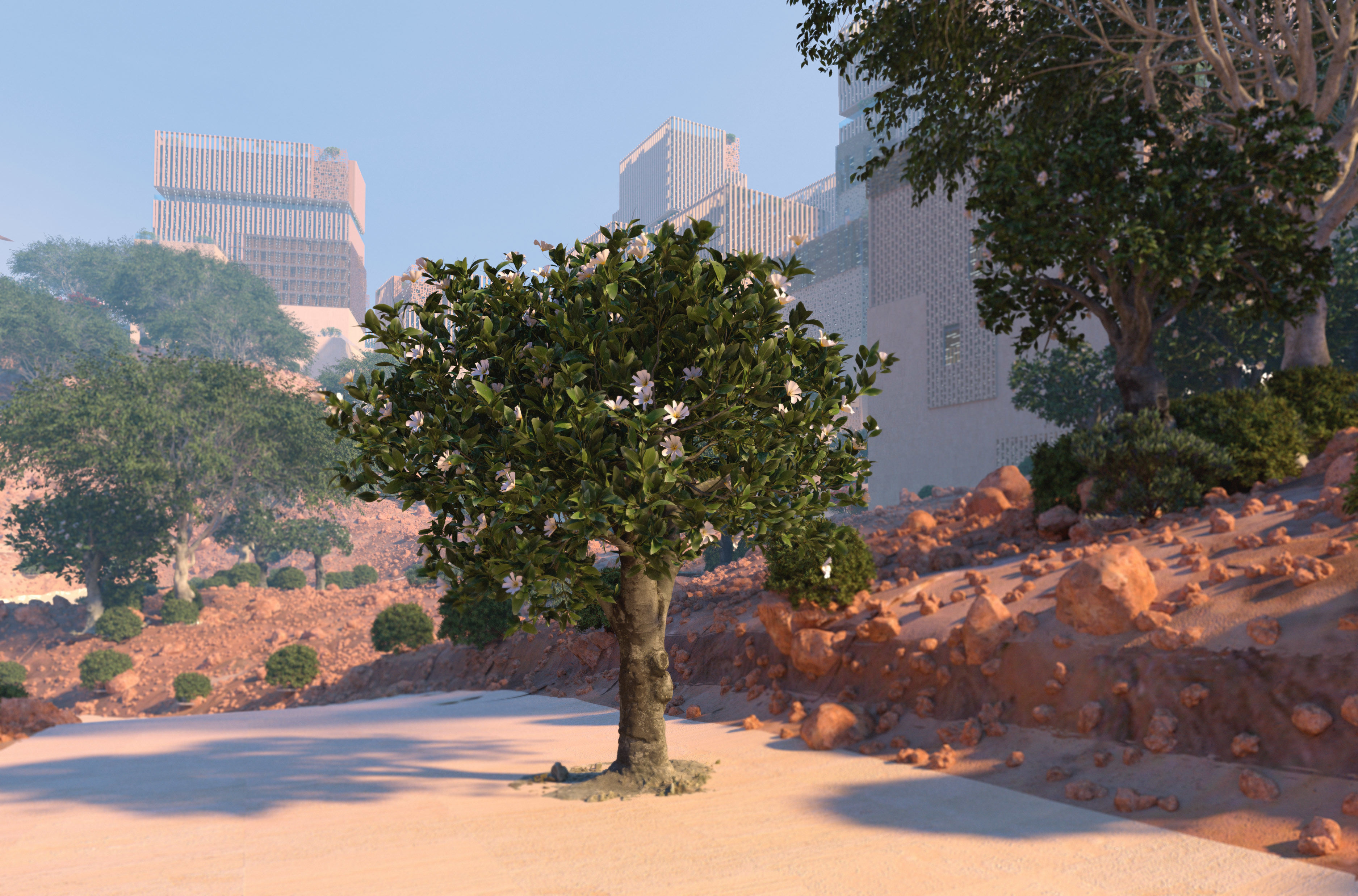 Ficus nitida tree mature 3D model_9