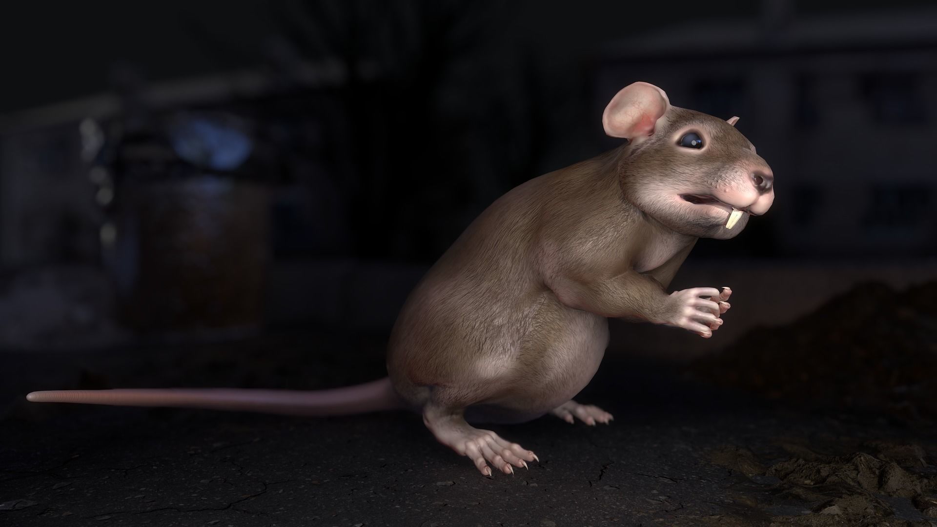 Common Rats Low-poly 3D model_28