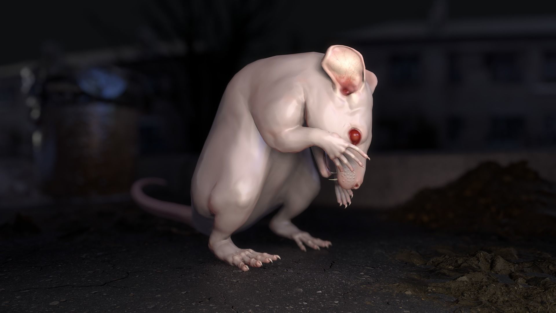 Common Rats Low-poly 3D model_15