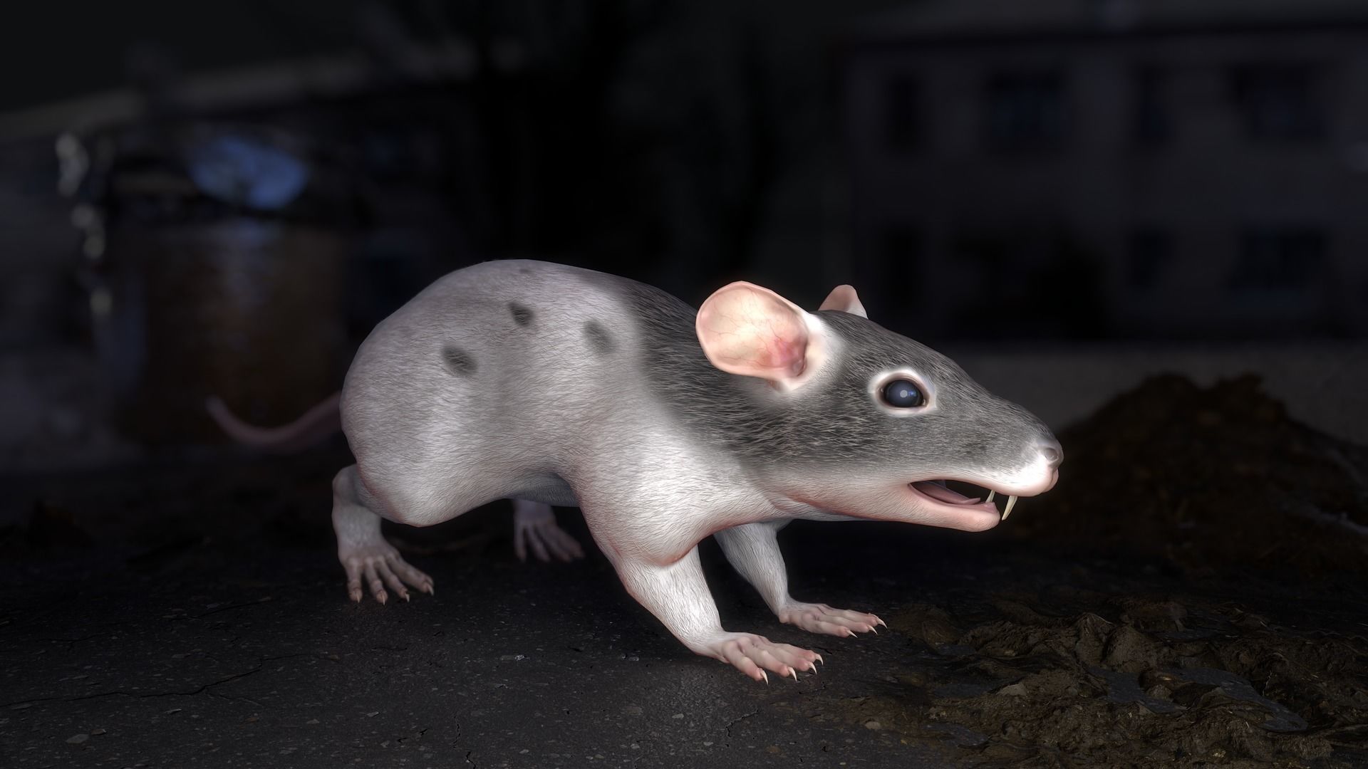 Common Rats Low-poly 3D model_8
