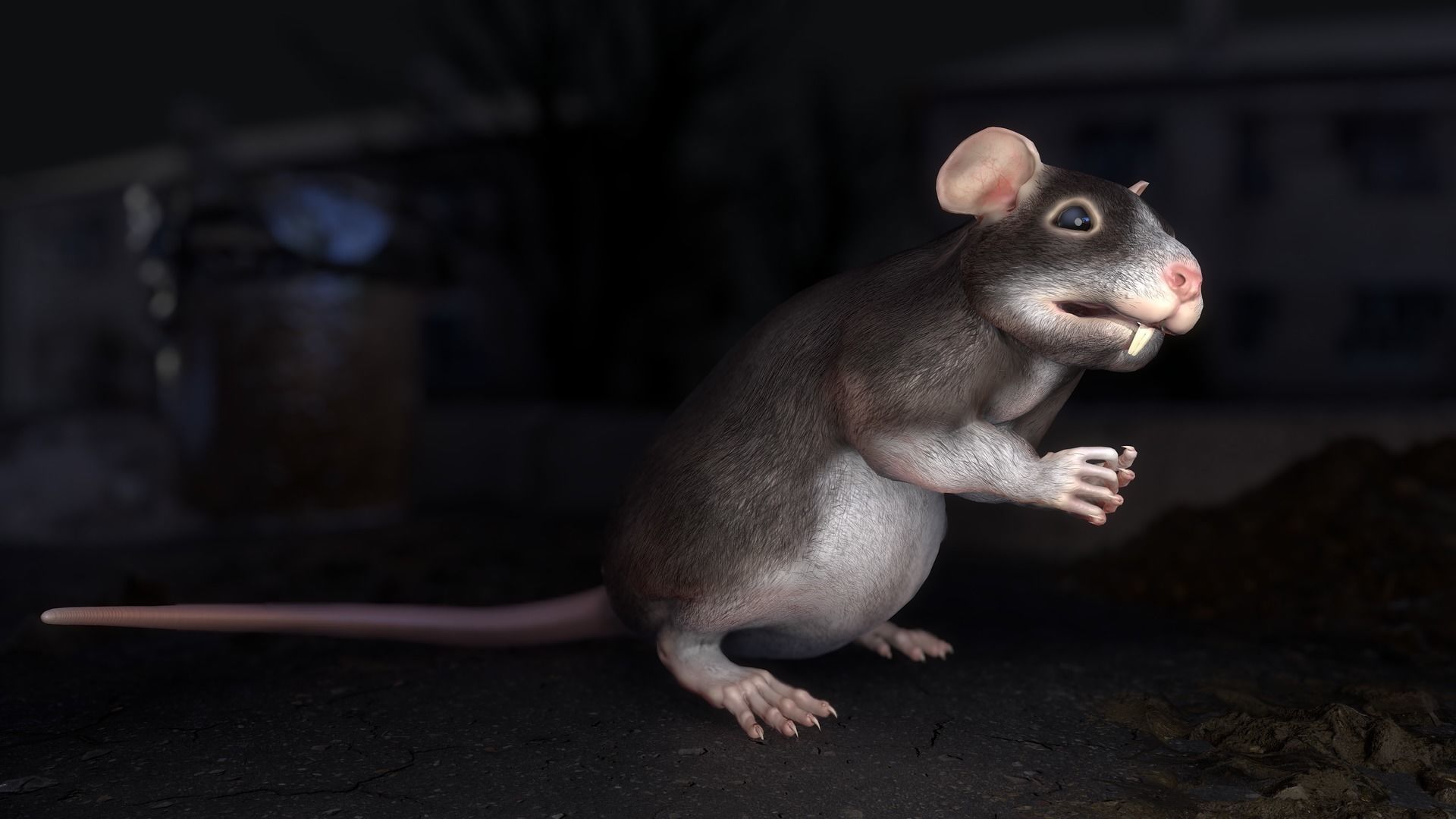 Common Rats Low-poly 3D model_30