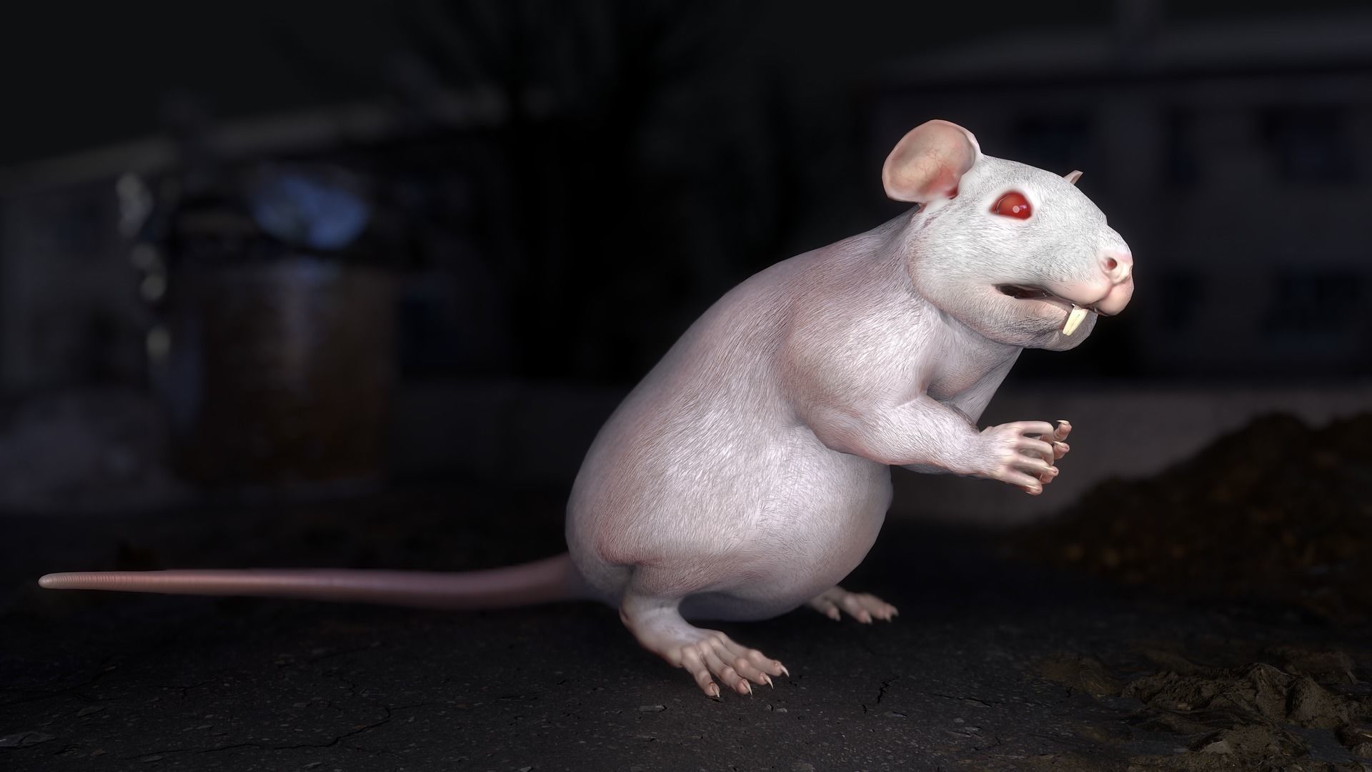 Common Rats Low-poly 3D model_31