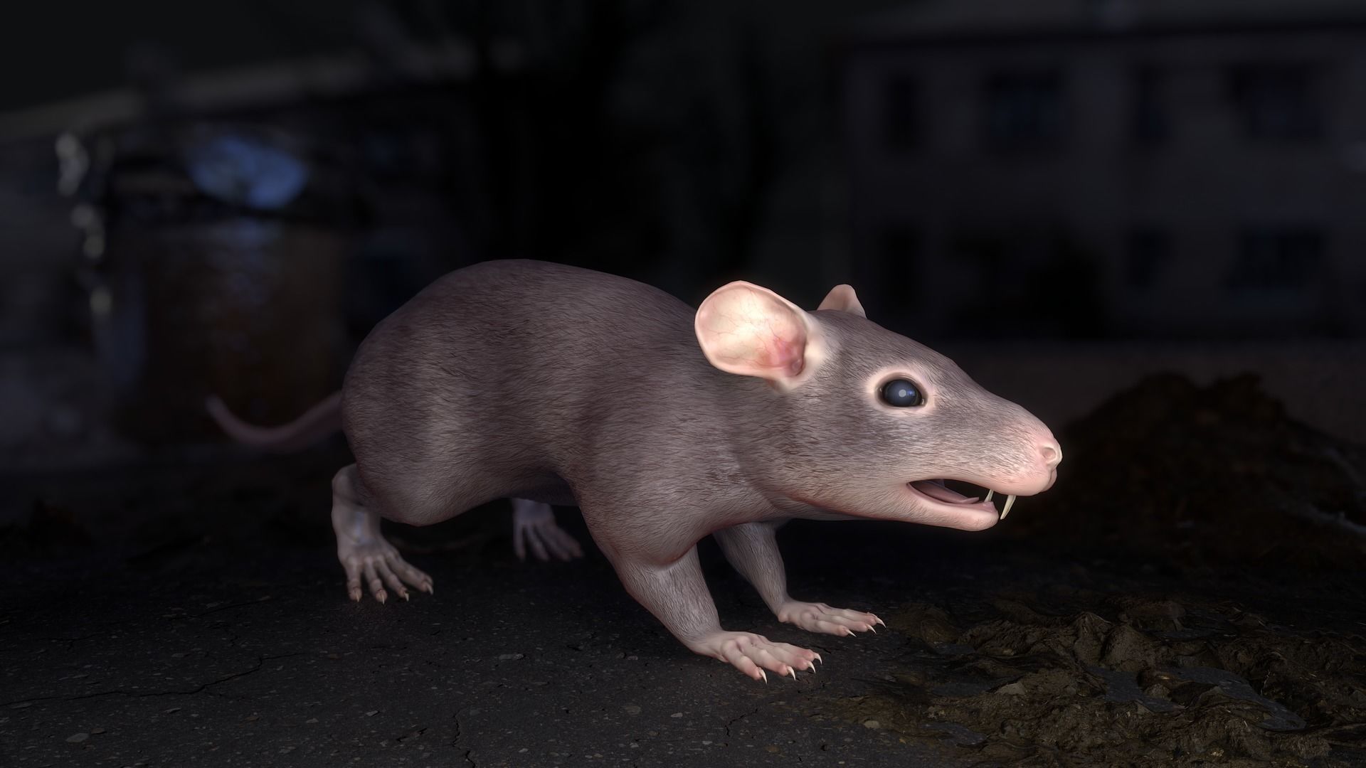 Common Rats Low-poly 3D model_6