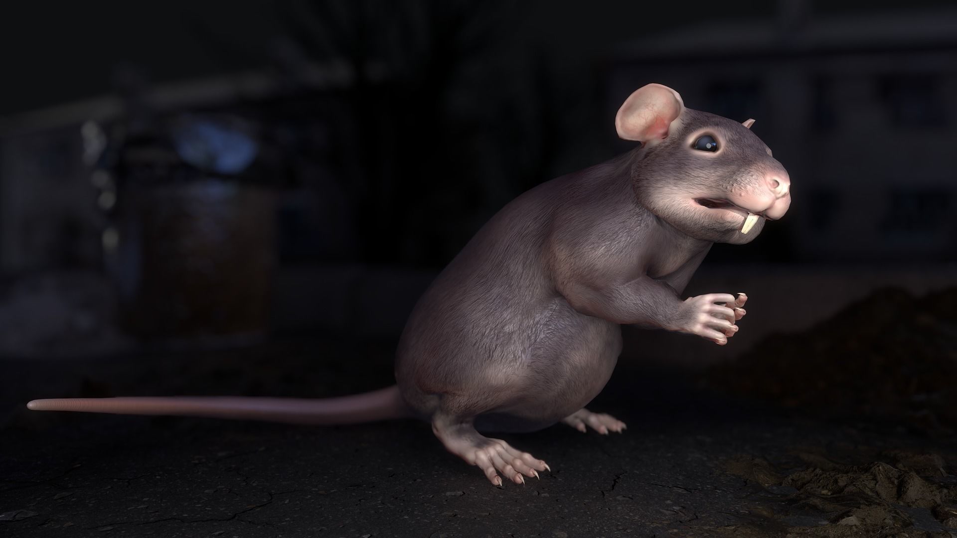 Common Rats Low-poly 3D model_29