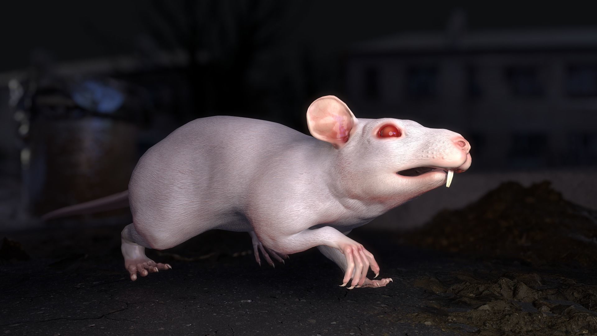 Common Rats Low-poly 3D model_20