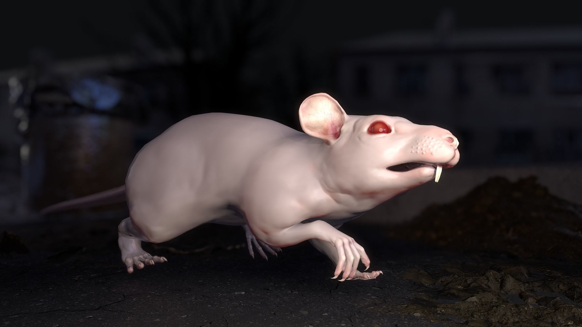 Common Rats Low-poly 3D model_19