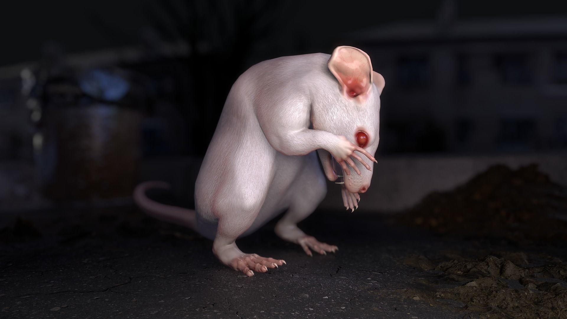 Common Rats Low-poly 3D model_13