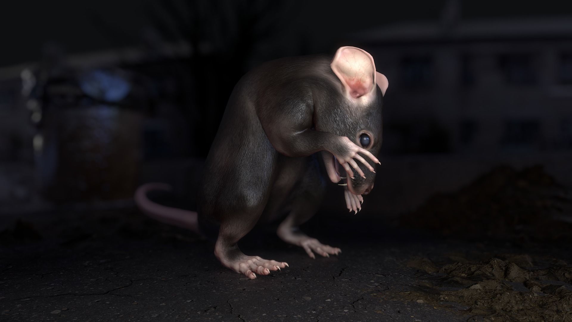Common Rats Low-poly 3D model_10