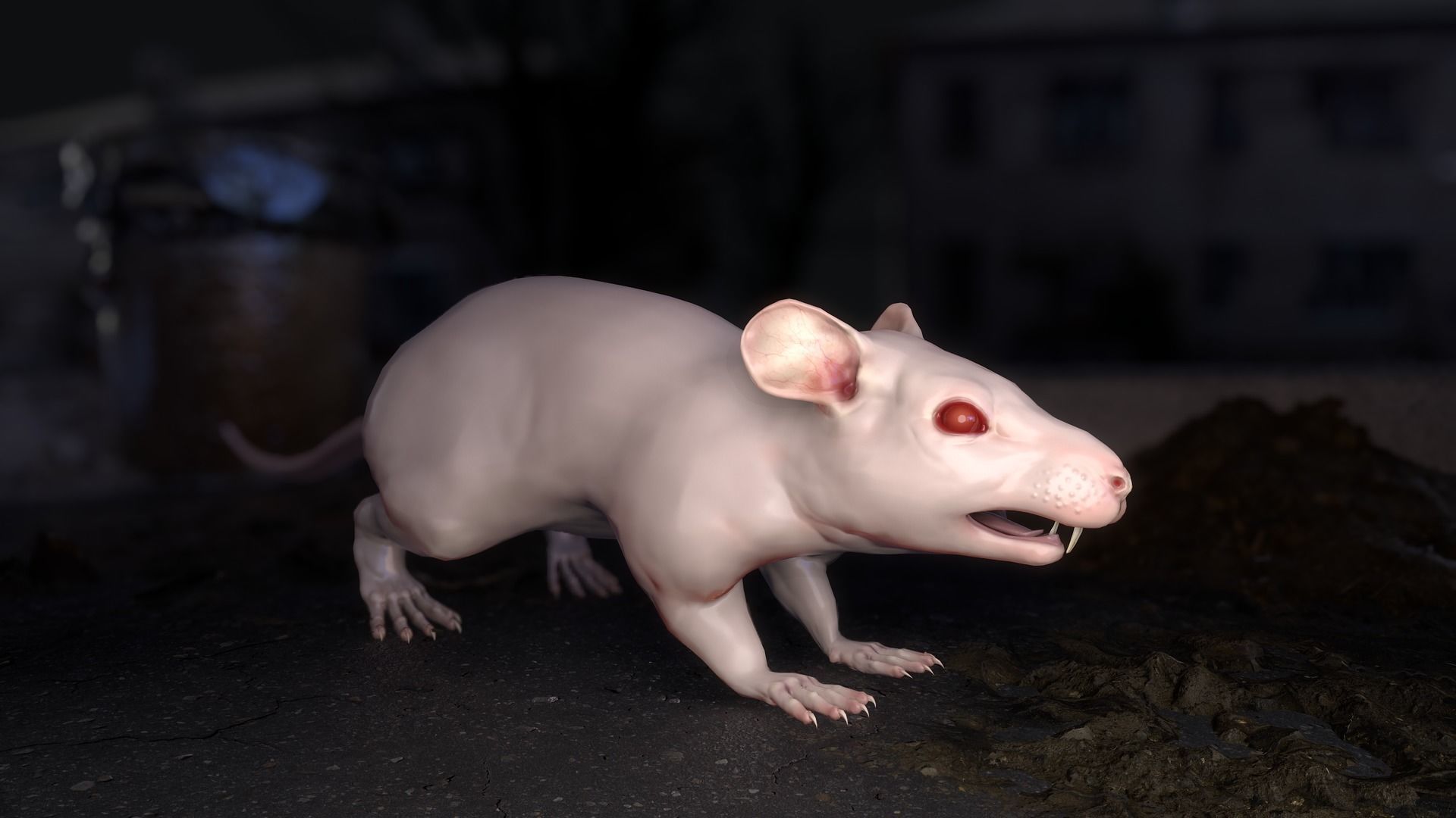 Common Rats Low-poly 3D model_9