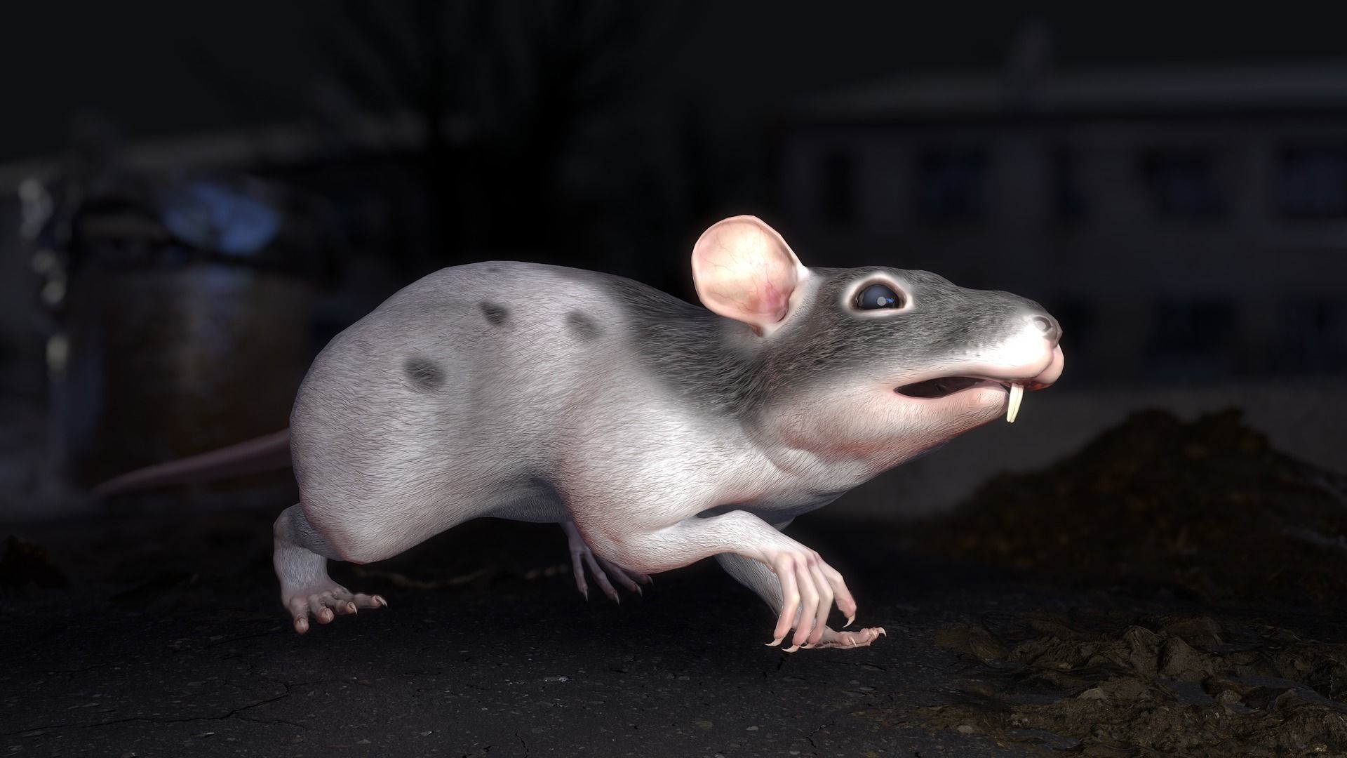 Common Rats Low-poly 3D model_21