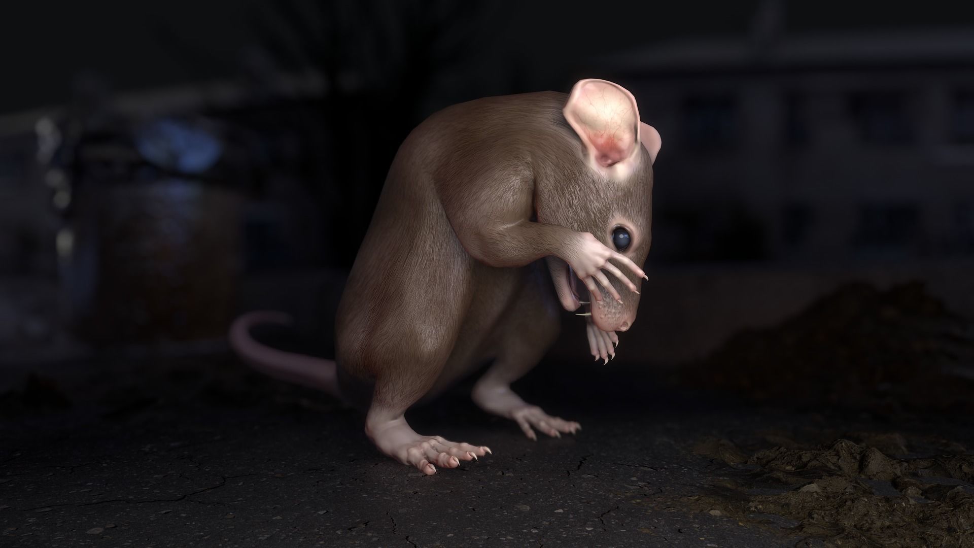 Common Rats Low-poly 3D model_11