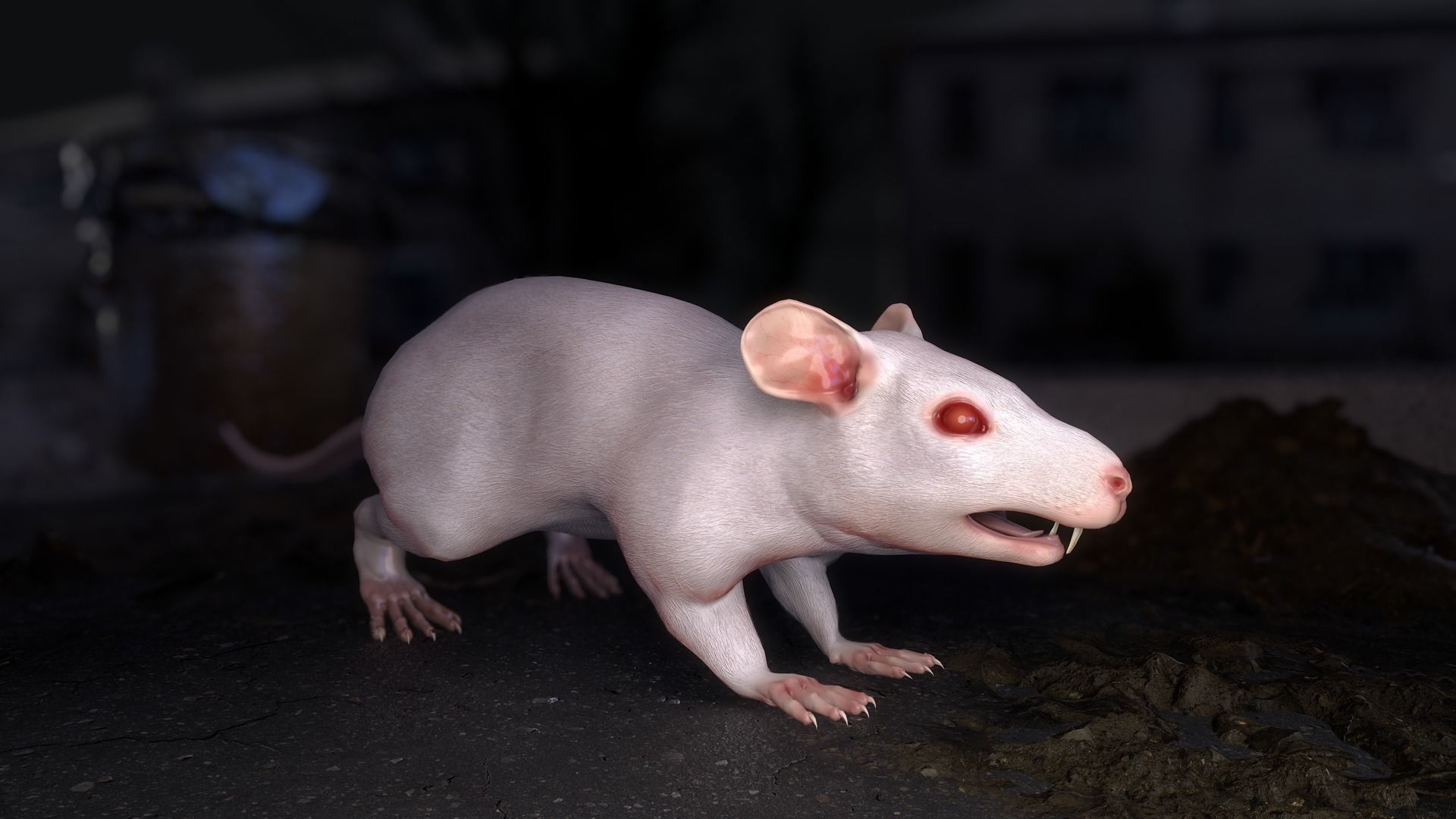 Common Rats Low-poly 3D model_7