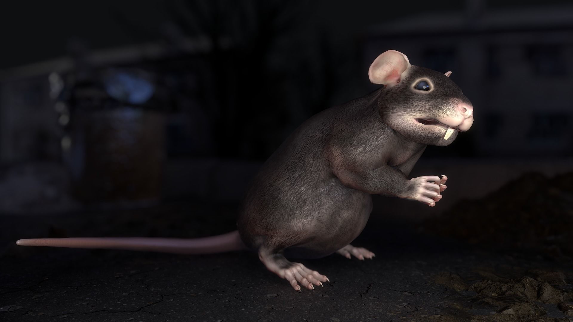 Common Rats Low-poly 3D model_27