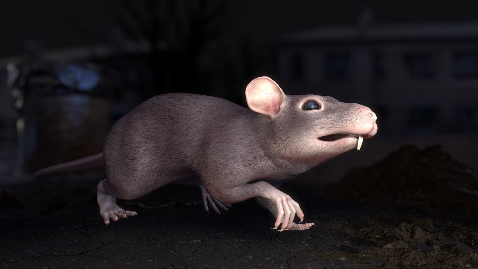 Common Rats Low-poly 3D model_18