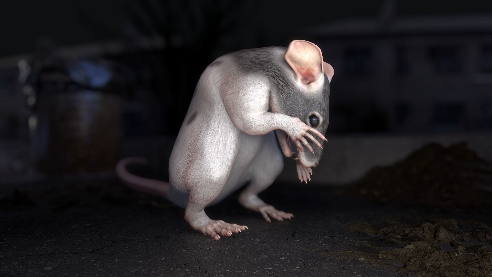 Common Rats Low-poly 3D model_14