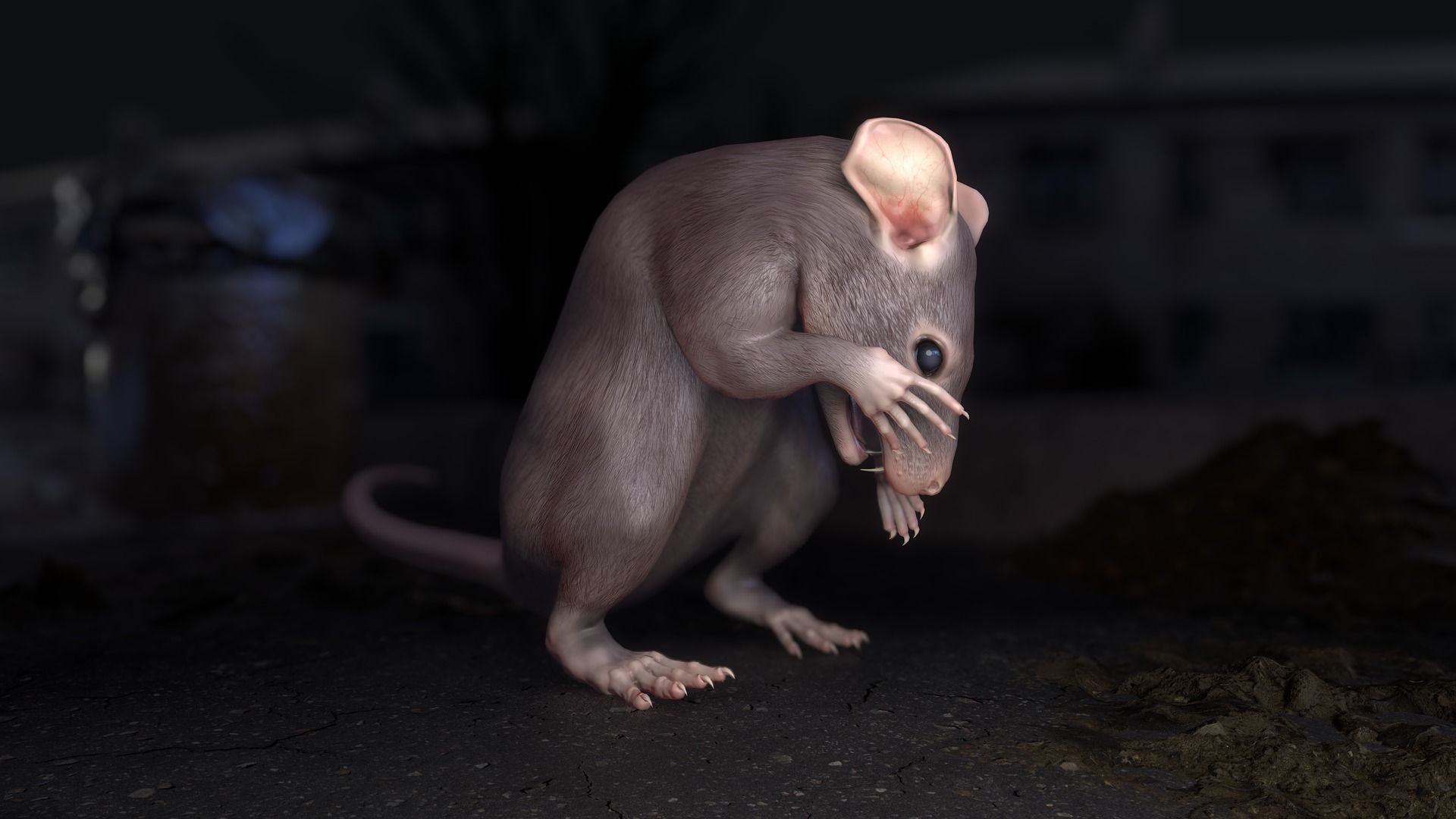 Common Rats Low-poly 3D model_12