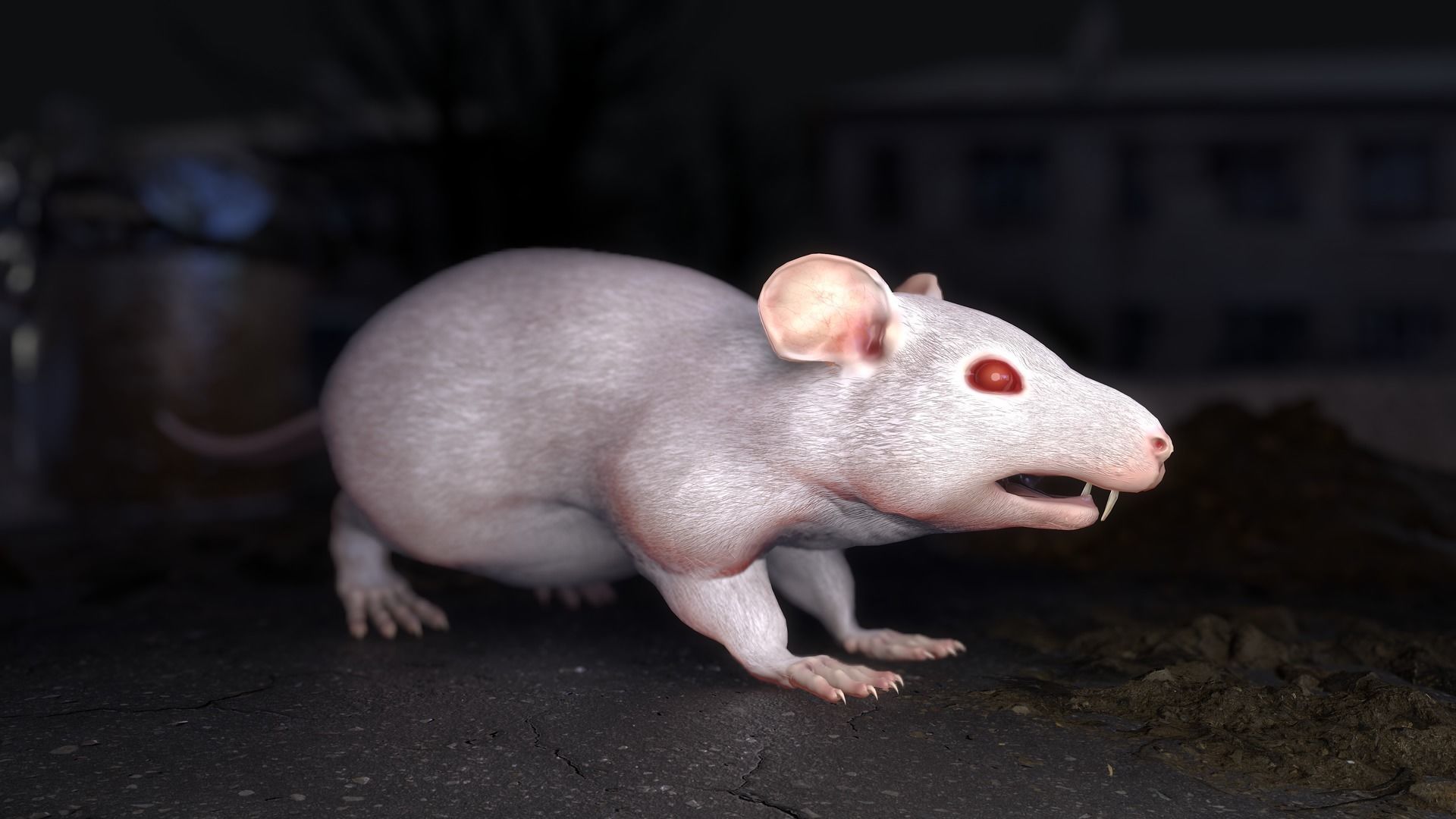 Common Rats Low-poly 3D model_26