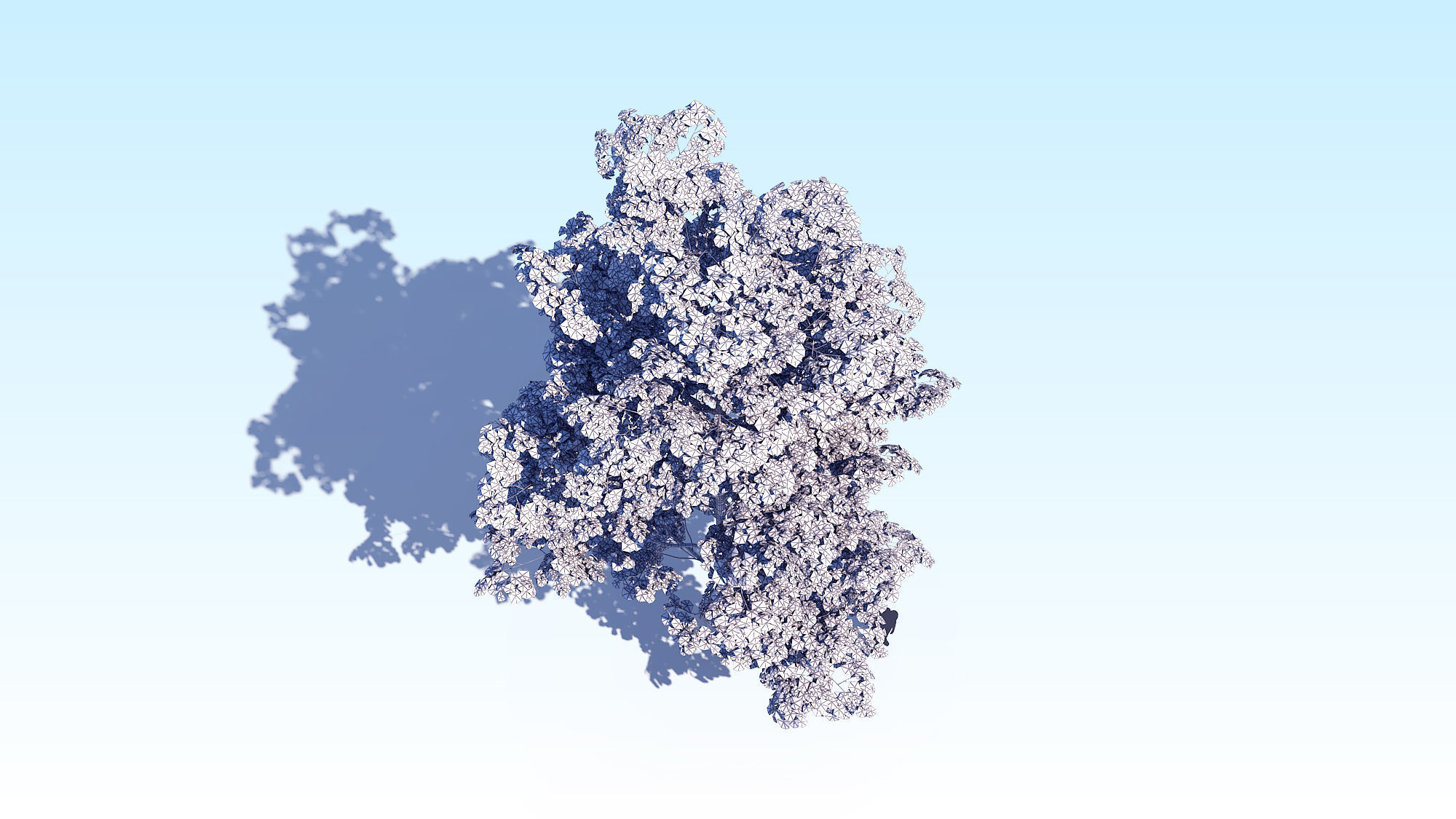 Maple Acer Tree 08 ArchViz 3D model_20