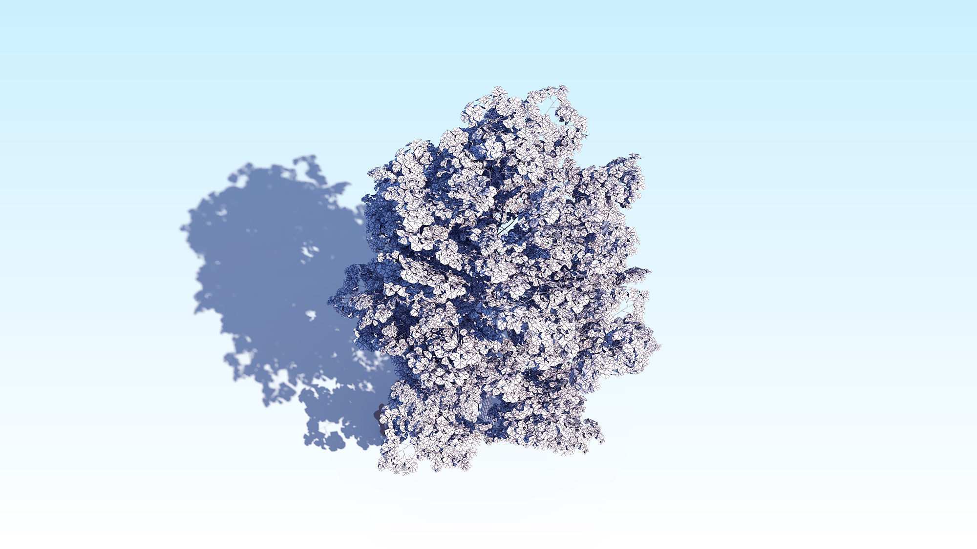 Maple Acer Tree 08 ArchViz 3D model_23