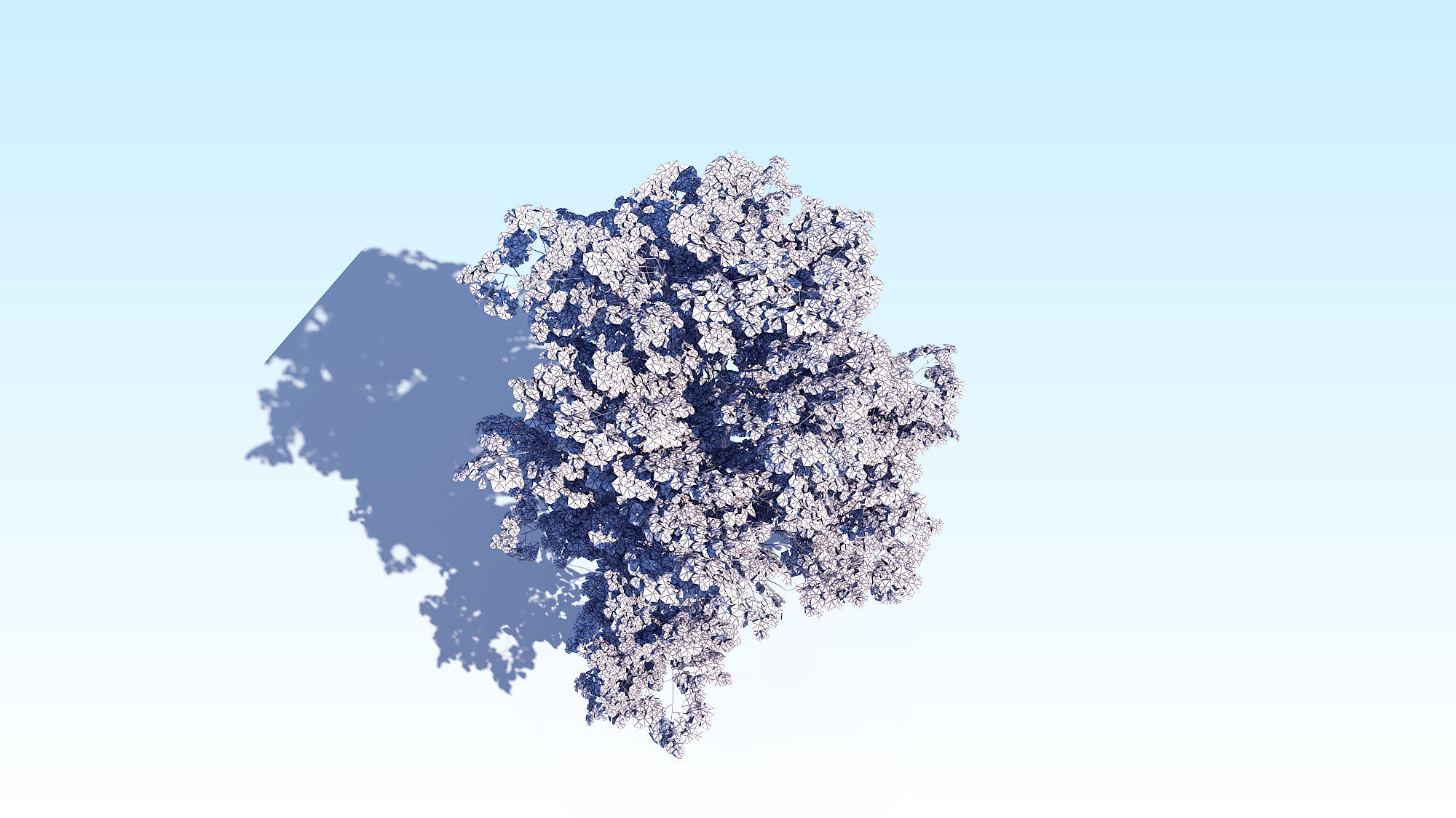 Maple Acer Tree 08 ArchViz 3D model_25