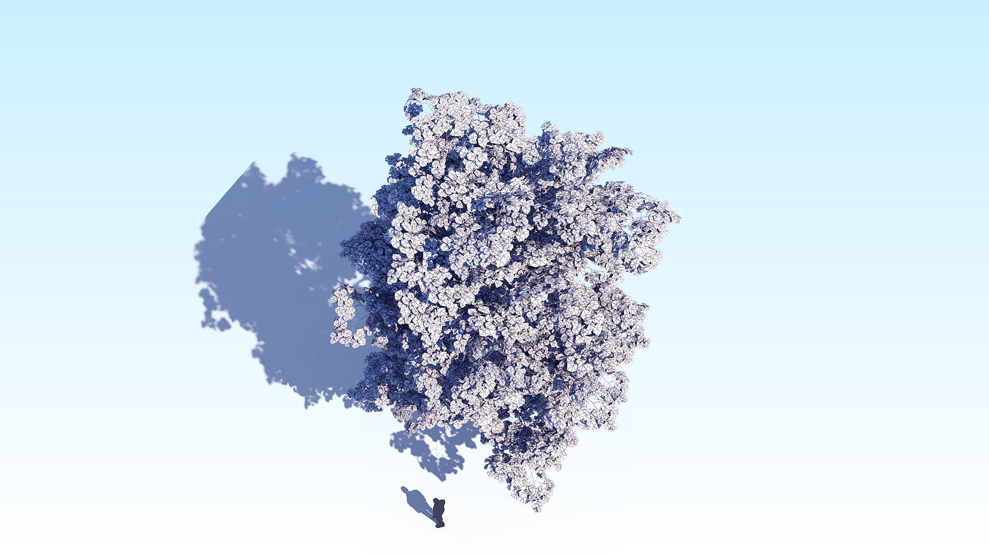 Maple Acer Tree 08 ArchViz 3D model_22