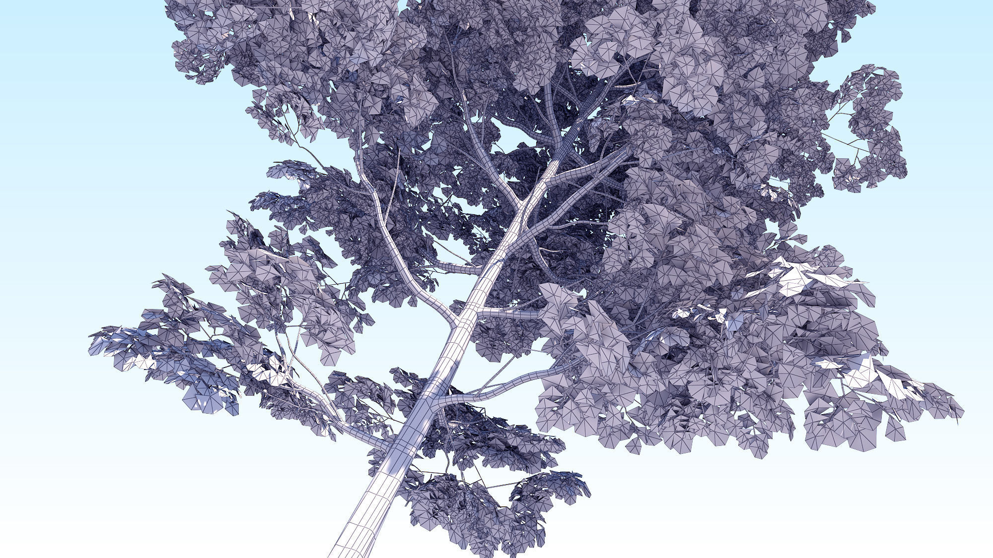 Maple Acer Tree 08 ArchViz 3D model_26