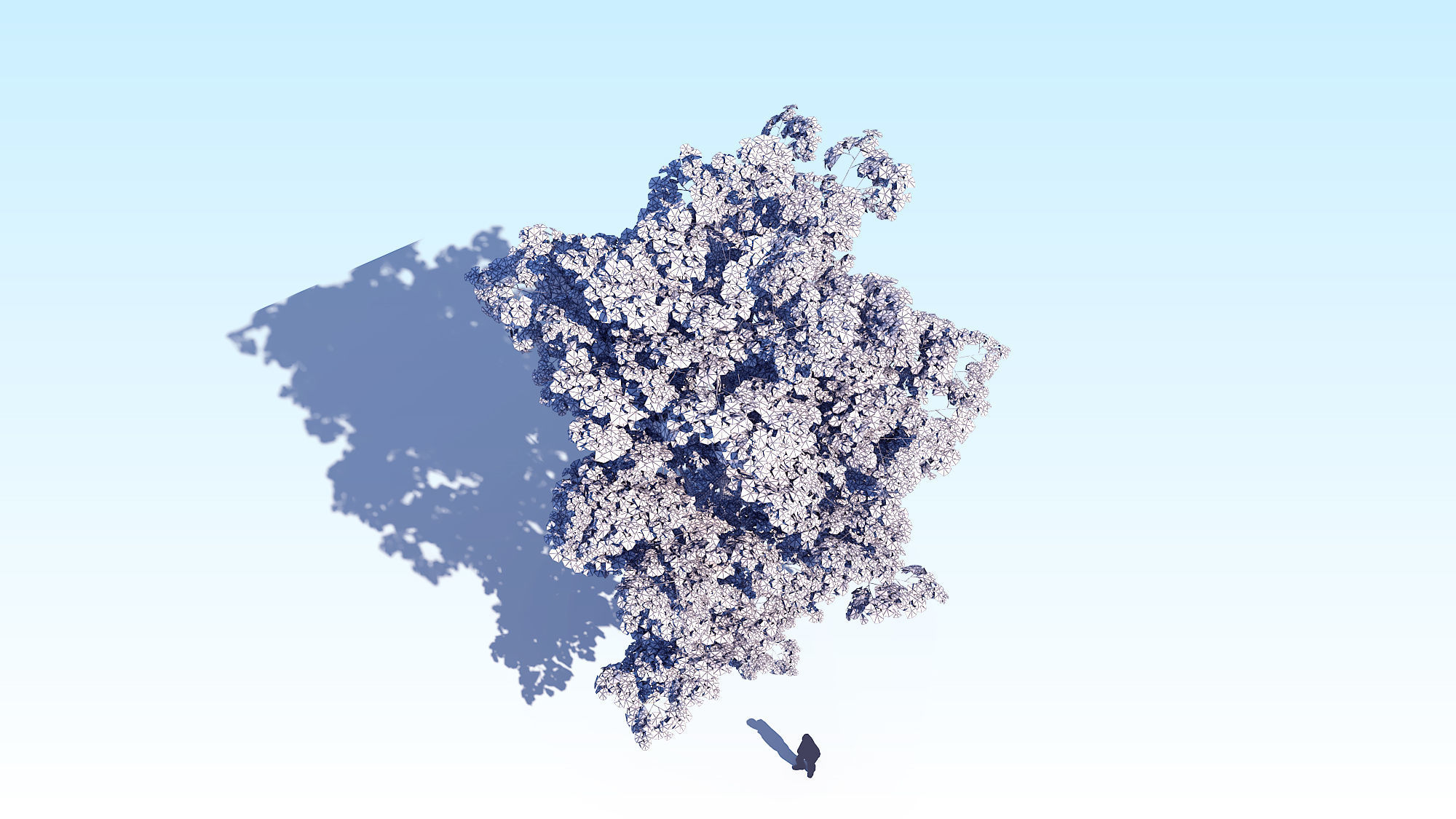 Maple Acer Tree 08 ArchViz 3D model_21