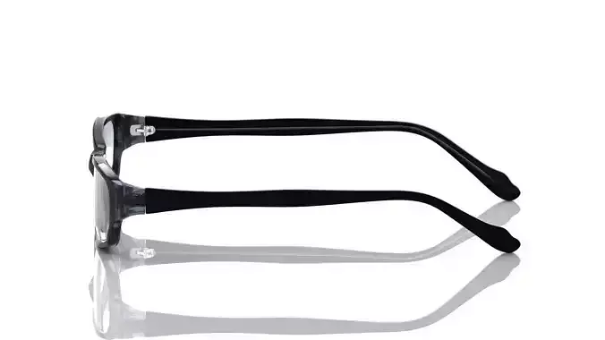 Eyeglasses for Men and Women 3D print model