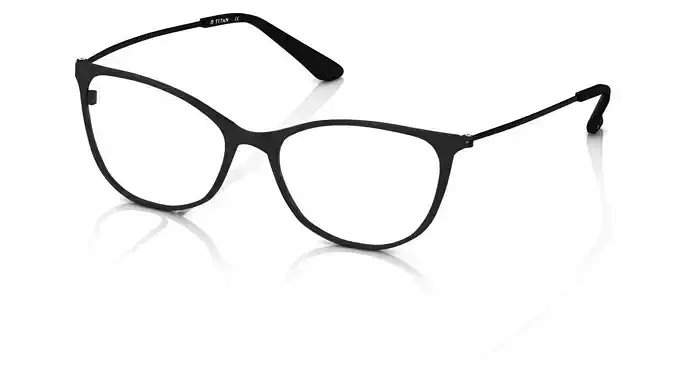 Eyeglasses for Men and Women 3D print model