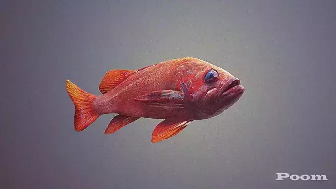 Red Fish