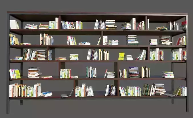 Book Shelf with Books