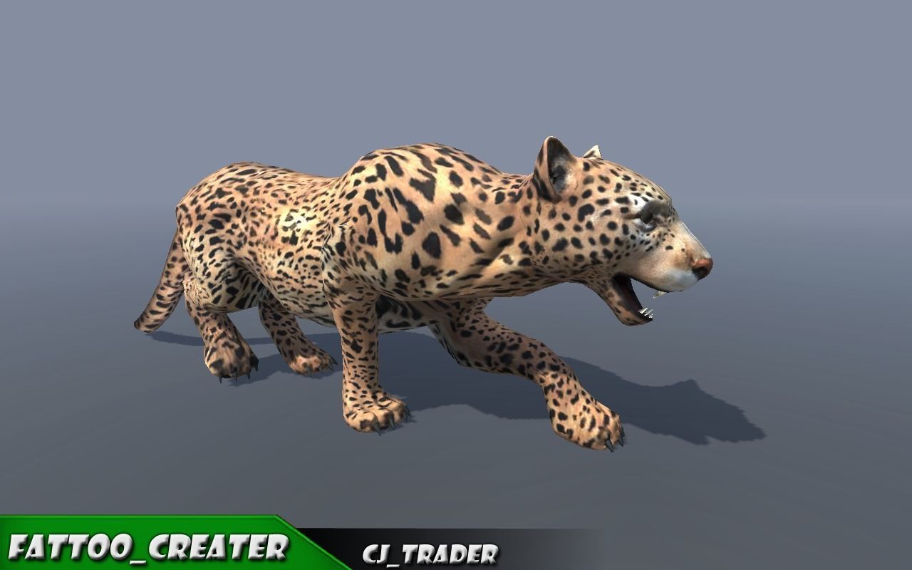 Lowpoly Wild Animal Leopard-Cats Collection Pack Rigged 3D model _1