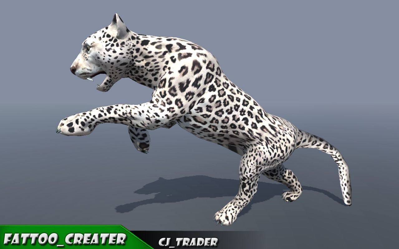 Lowpoly Wild Animal Leopard-Cats Collection Pack Rigged 3D model _6