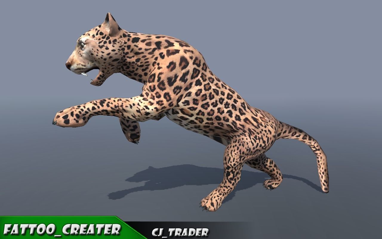 Lowpoly Wild Animal Leopard-Cats Collection Pack Rigged 3D model _3