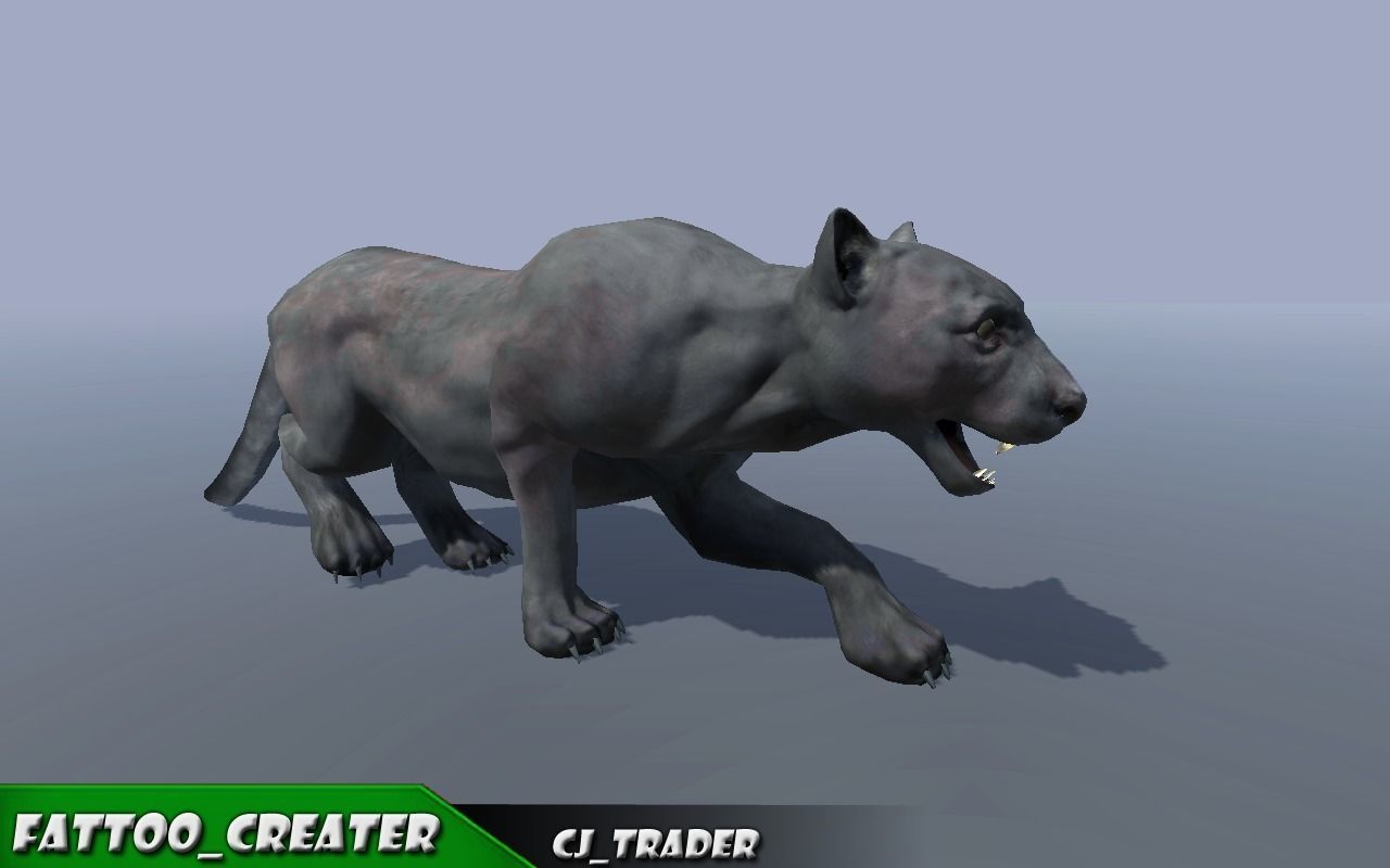 Lowpoly Wild Animal Leopard-Cats Collection Pack Rigged 3D model _7