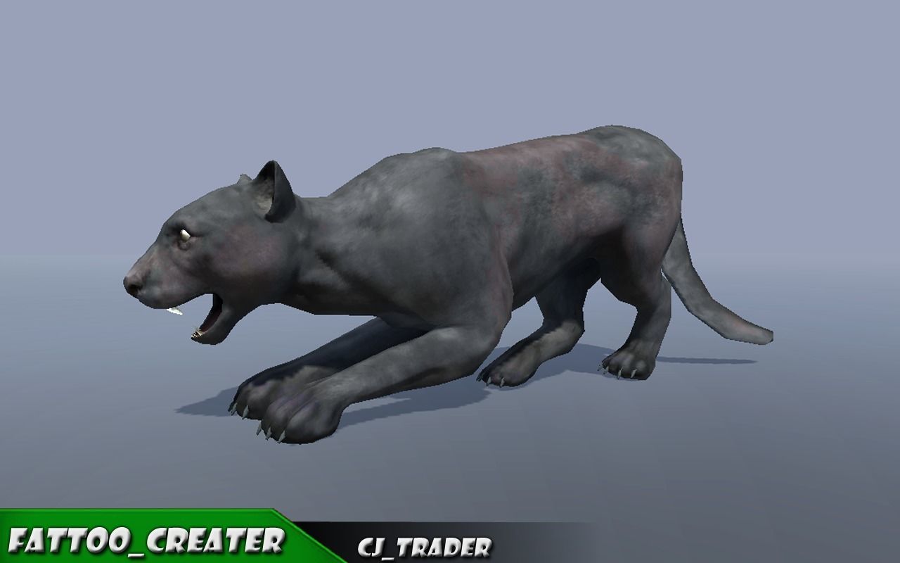 Lowpoly Wild Animal Leopard-Cats Collection Pack Rigged 3D model _8
