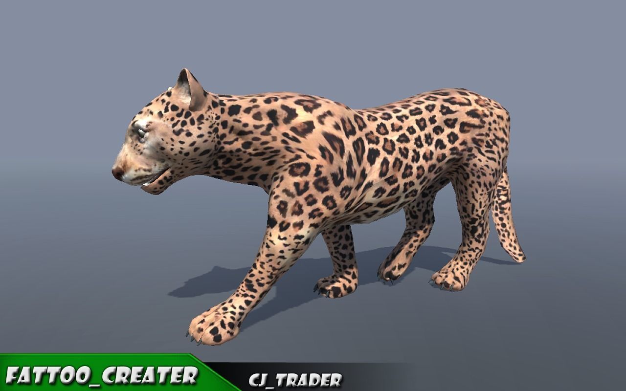Lowpoly Wild Animal Leopard-Cats Collection Pack Rigged 3D model _2