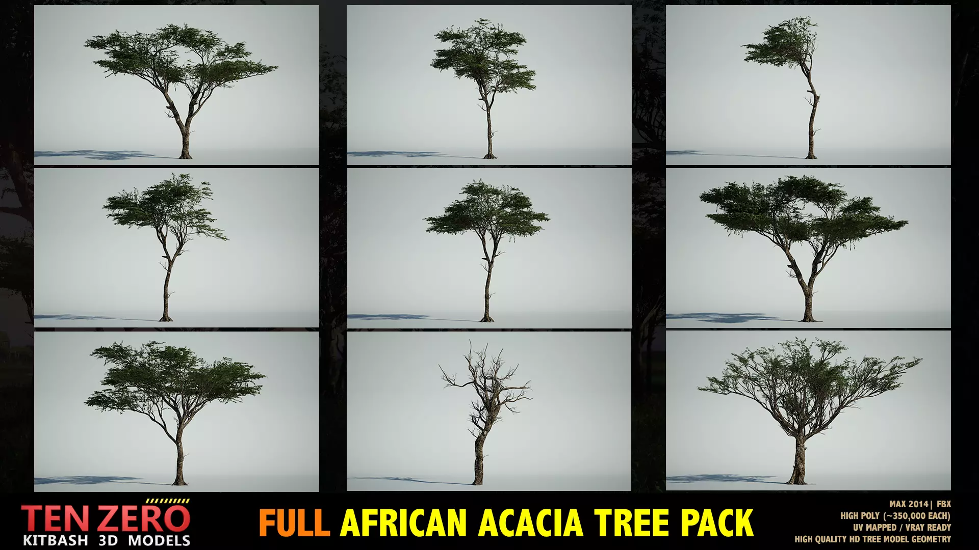 FULL AFRICAN ACACIA TREE PACK - 9 TREES 3D model