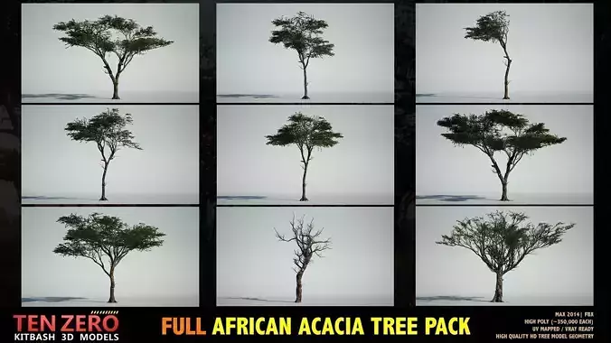 FULL AFRICAN ACACIA TREE PACK - 9 TREES 3D model