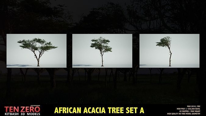 AFRICAN ACACIA TREE PACK A - 3 TREES 3D model