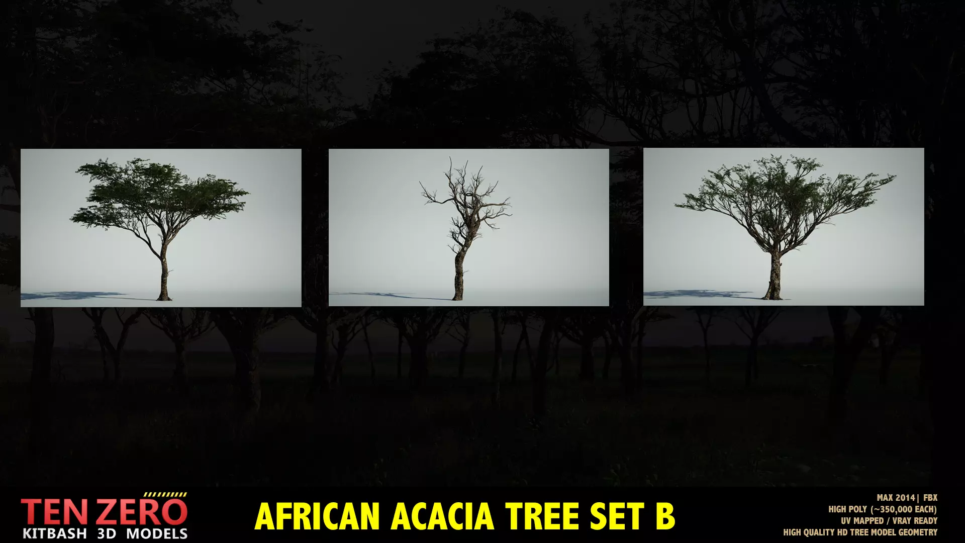 AFRICAN ACACIA TREE PACK B - 3 TREES 3D model_0