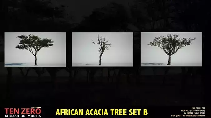 AFRICAN ACACIA TREE PACK B - 3 TREES
