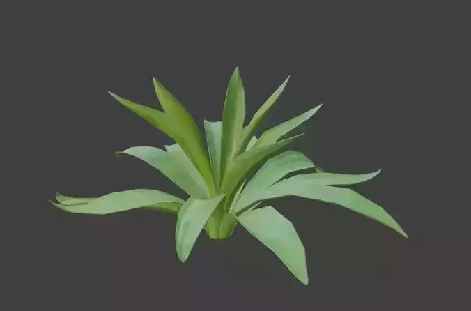 agave plant Free low-poly 3D model