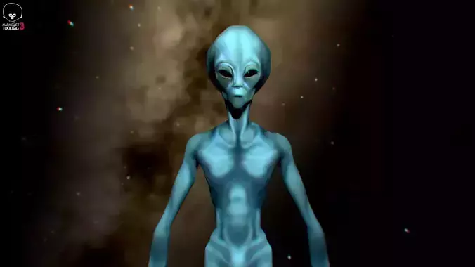 Alien Grey - Classic Roswell Extraterrestrial Low-poly 3D model