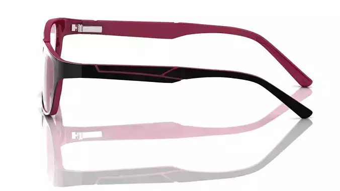 Eyeglasses for Men and Women 3D print model