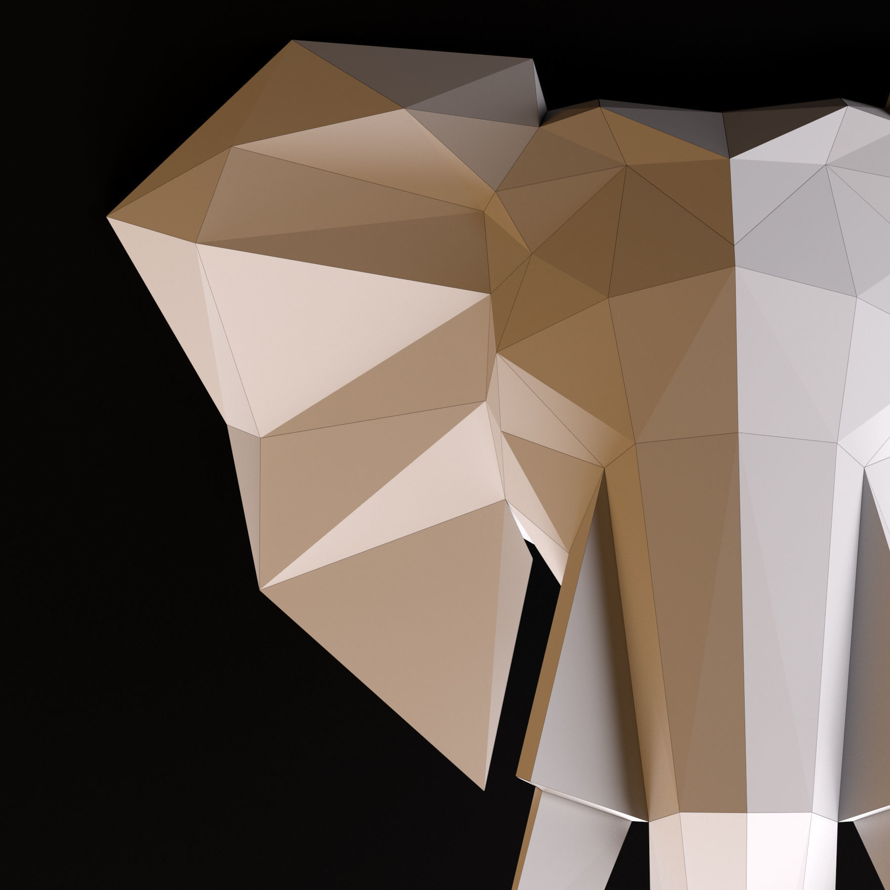 Elephant head low poly 3D model_5