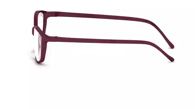 Eyeglasses for Men and Women 3D print model