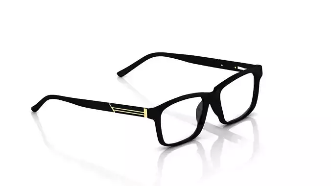 Eyeglasses for Men and Women 3D print model