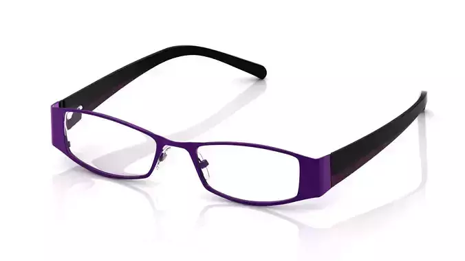 Eyeglasses for Men and Women 3D print model