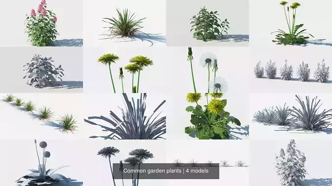 Common garden plants 3D Model Collection